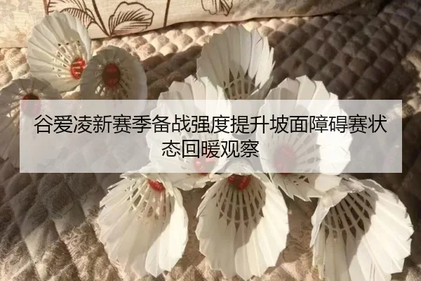 谷爱凌新赛季备战强度提升坡面障碍赛状态回暖观察